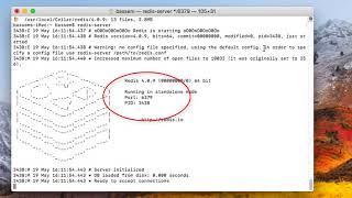 Redis Installation On Mac OS X