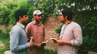 Pashto Language Sakhakot Vines