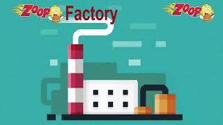 How Zoop Cafe Works? Complete Manufacturing Process