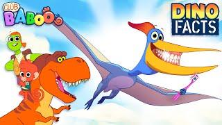 Learn Funny Fact about PTERANODON | Club Baboo | HALF HOUR Dinosaur videos for kids | T-Rex and more