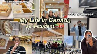 My life in Canada as student:shopping, midterm week,*she went back*