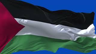Palestine Flag Waving | GREEN SCREEN & CHROMA MATTE