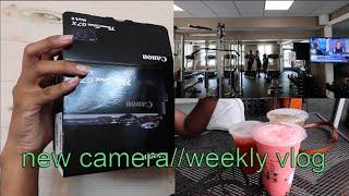 new camera, gym memberships, and swimming ft. since birth |WEEKLY VLOG| plutopassionfruit