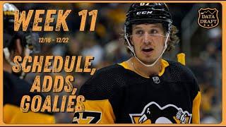 24-25 Fantasy Hockey Week 11 - Schedule, Adds, Goalie Updates