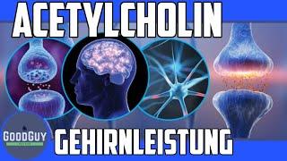 Mehr Gehirnleistung mit Acetylcholin!Neurotransmitter Lernfähigkeit Gedächtnis Fokus Konzentration!