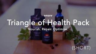 Triangle of Health Overview with Dr. Shawn Talbott (SHORT)