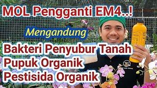 Cara Membuat MOL (Mikro Organisme Lokal) Pengganti EM4, Penyubur Tanah, Pupuk dan Pestisida Organik!