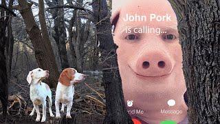 John Pork Calls Dogs from Woods!