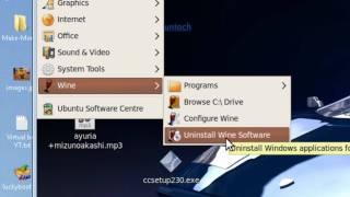 Install Linux Wine HQ + CCleaner on Ubuntu 9.10