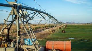 Greening the World's Deserts | The Henry Ford's Innovation Nation