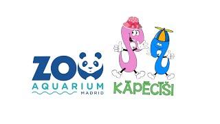 Zoo Aquarium Madrid 2024