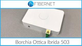 Borchia Ottica Ibrida per scatola 503