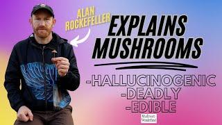 Alan Rockefeller Explains Mushrooms- Hallucinogenic, Deadly, Edible