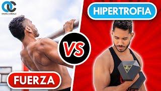 Fuerza vs hipertrofia - cuáles son las diferencias y cómo aplicarlo