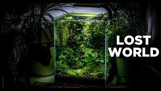 My LostWorld nano tank - The ultimate nature aquarium for beginners