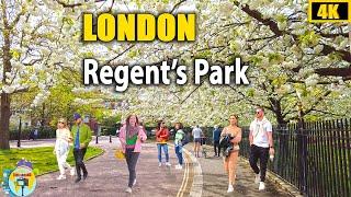 Regent's Park London | Walking Tour | Look Around London 4K