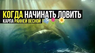 КОГДА начинать ЛОВИТЬ КАРПА ранней ВЕСНОЙ  СОВЕТЫ по ЛОВЛЕ в ХОЛОДНОЙ ВОДЕ!