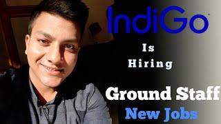 Indigo Airlines Hiring Ground Staff 2021| Ground Staff Vacancy | That Aviation Guy