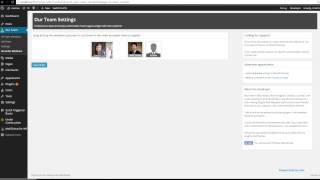 Our Team Showcase - WordPress Plugin Setup