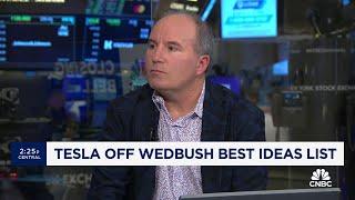 Here's why Wedbush's Dan Ives slashed his 12-month stock price target for Tesla
