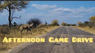 Afternoon Game Drive. The Kruger National Park. #wildlife #africa #bushveld