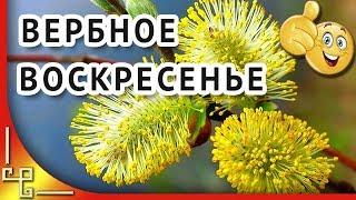 С Вербным Воскресеньем! Красивое поздравление с Вербным Воскресеньем!