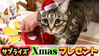 ピノお喋り️【ドッキリ】クリスマス会️パルム喜ぶ猫ちゃんケーキ楽しすぎたピノパル兄弟猫#クリスマス #猫 #保護猫#cat