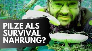 Sind Pilze als Survival-Nahrung sinnvoll? (Survival Bushcraft Outdoor Wissen)