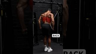 Big BACK workout  #shorts