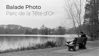 Balade photo - Lyon (Parc de la Tête d'Or) Nikon F100 Ilford Delta 400