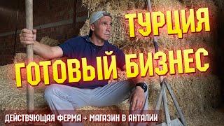 Продажа готового бизнеса в Турции (Анталия): фермерский комплекс в деревне с магазином в городе