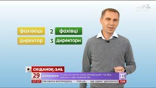 Согласование имен числительных с существительными - экспресс-урок