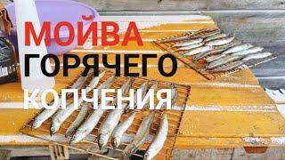 Вкуснейшая мойва горячего копчения#коптимдома #копченаярыба