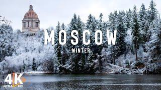 Winter in Moscow, Russia 4K VIDEO | Explore the cold winter of the Russian capital - Travel Vlog 4K