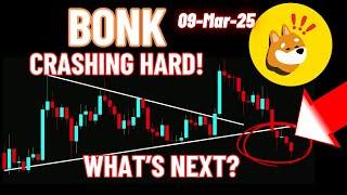 BONK Coin is CRASHING HARD! What’s Next?