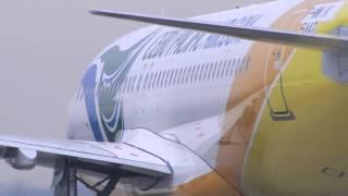 Cebu Pacific's first A320 Sharklet