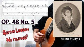 Mauro Giuliani Op. 48 No. 5 - (no talk) guitar lesson