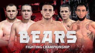 Bears fighting championship 6