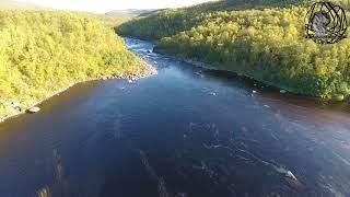 Дикая природа, Мурманская область / Wildlife of the Kola Peninsula, Murmansk region