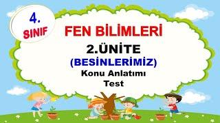 4.Sınıf Fen Bilimleri | Besinlerimiz