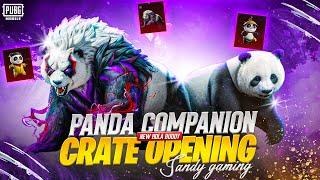 NEW PANDA COMPANION HOLA BUDDY CRATE OPENING | PUBG MOBILE