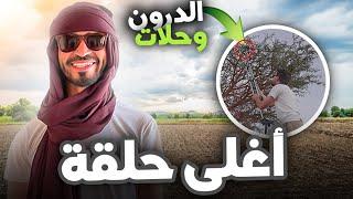 أغلى فيديو  |The most expensive video