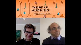 Episode #3: On the neural code - with Arvind Kumar