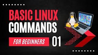 Linux Commands for Beginners | 8 Basic Linux Commands | Linux Commands Cheat Sheet #linux #tutorial