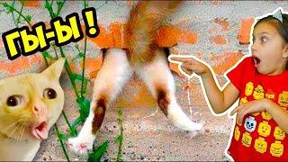 КОТЫ ЛЕТУНЫ! ЛУЧШИЙ НЕ ЗАСМЕЙСЯ ЧЕЛЛЕНДЖ с КОТАМИ ПРЫГ! Funny Cats Попробуй не засмеяться Валеришка