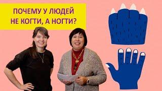 Когти или ногти: что лучше? Елена Сударикова и Наталья Носова