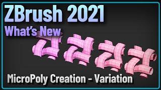 046 ZBrush 2021 Custom MicroPoly Creation Variation Version