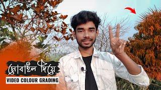 Cinematic Colour Grading in Video With Mobile | 3D Lut Colour Correction | Bangla Tutorial