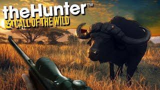 theHunter Call of the Wild « ОХОТА НА САВАННЕ » АФРИКА