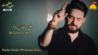 Haider Haider|Farhan Ali Waris Noha Lyrics|Ali Sultan e Aalam|Noha Lyrics